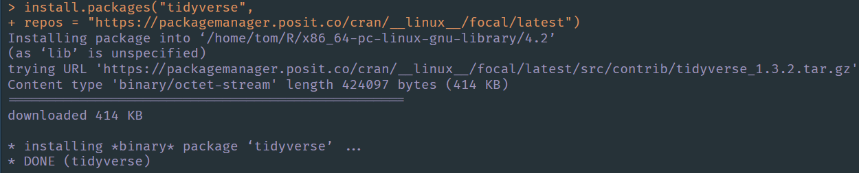 Installing binary Linux tidyverse package using Posit Package Manager.