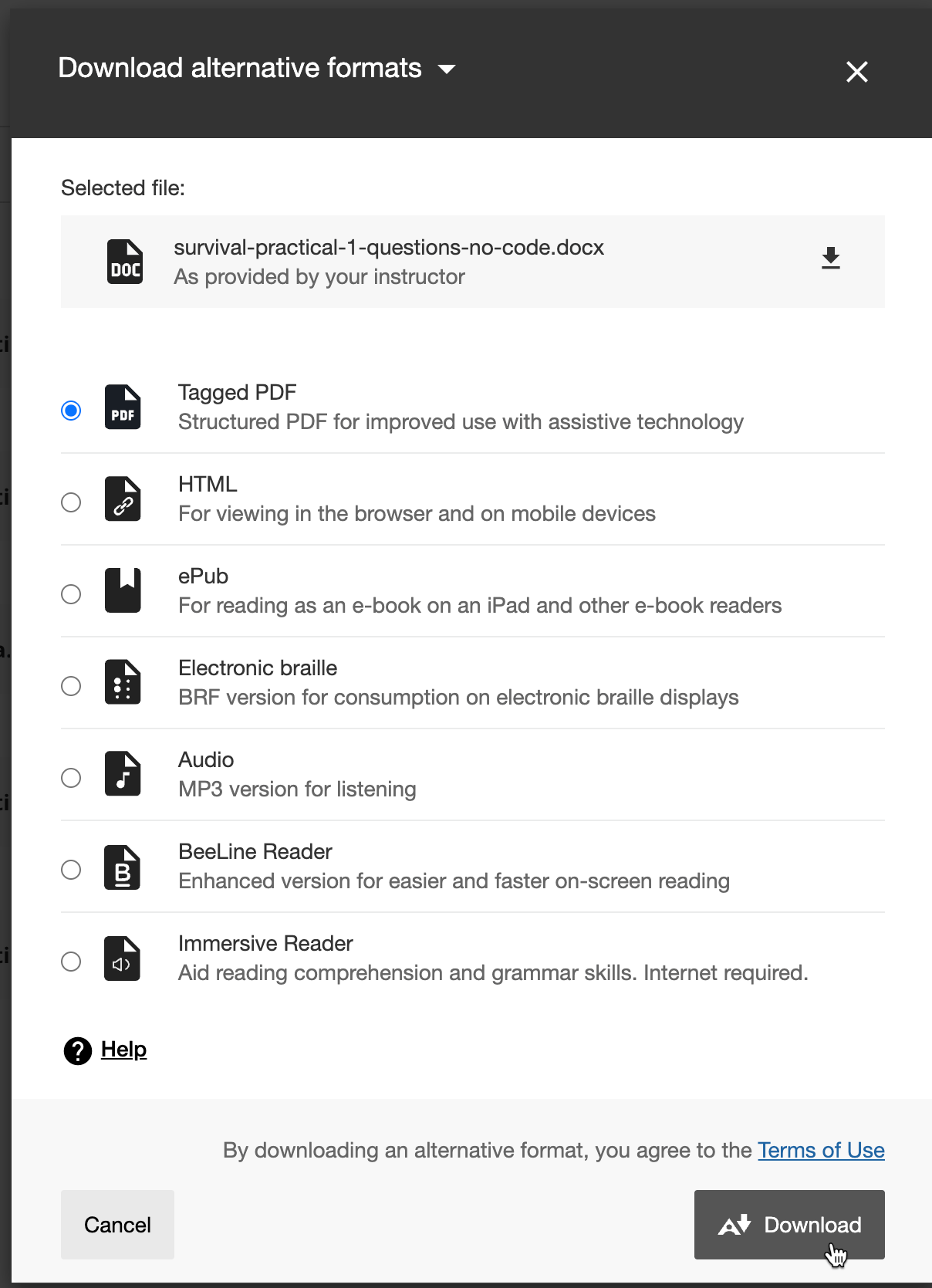Screenshot of the alternative document formats in Blackboard.