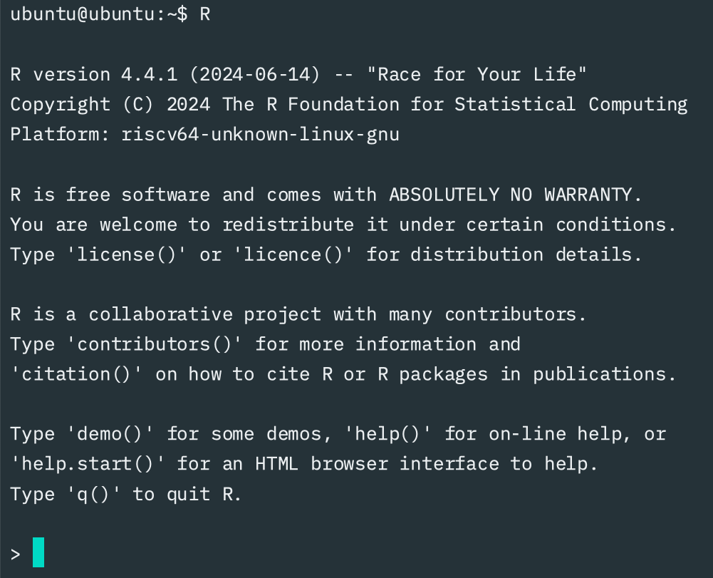 Screenshot of the R startup message running on an emulated RISC-V virtual machine.
