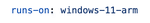 Running R on Windows on ARM on GitHub Actions