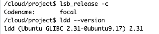 Image of inspecting the version of glibc within Ubuntu Focal Fossa.