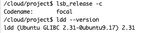 How Posit's Public Package Manager manylinux_2_28 repository can help you if your R project is stuck on Ubuntu Focal Fossa